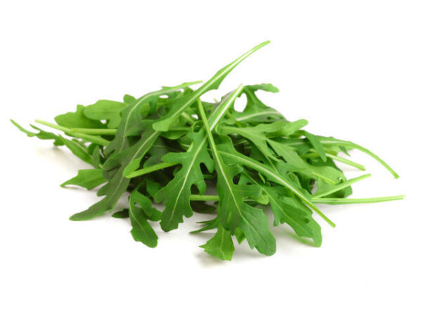 RUCOLA 80 gr
